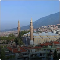 Bursa